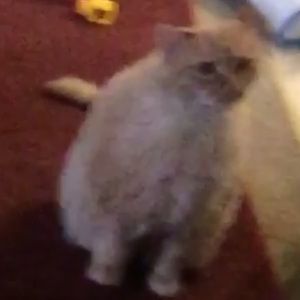 Meet your Posher, Esperanza